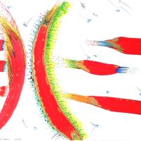 werke 2016 2 20160205