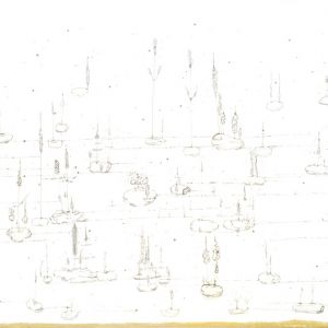056-2025